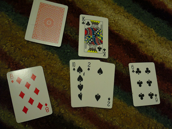 Make 10 - Spades wins the bid for the King card.